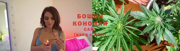 стаф Тихорецк