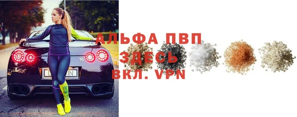 крисы Тында