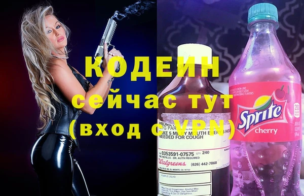 крисы Тында