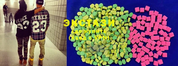 крисы Тында