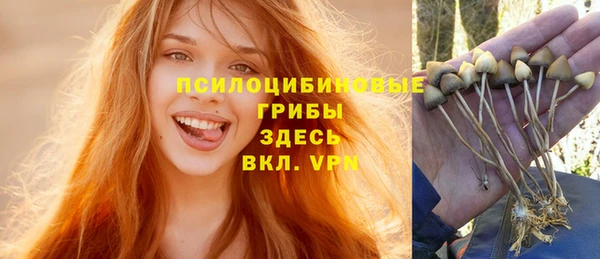 крисы Тында