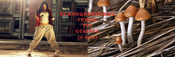 крисы Тында