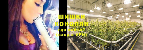 крисы Тында